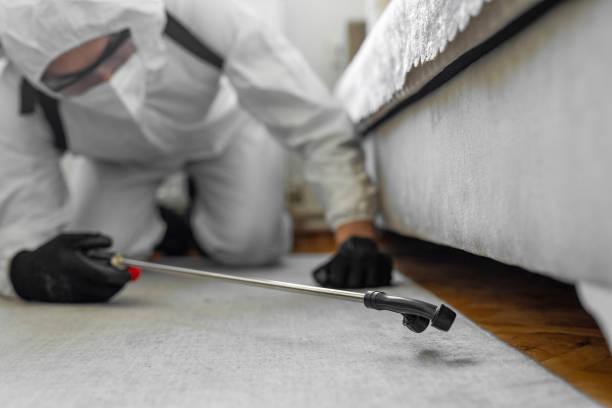 Professional Bed Bug Control technician working in Rancho Viejo, TX