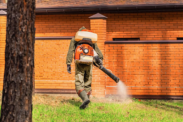 Trusted Mosquito Control service in Rancho Viejo, TX - Nex Pest Control